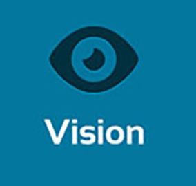 vision